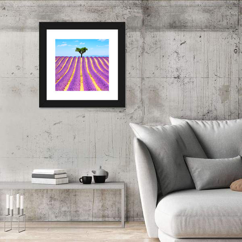 Lavender Field Wall Art in a room, square