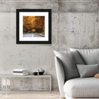 Autumn Forest Road with Canopy Wall Art