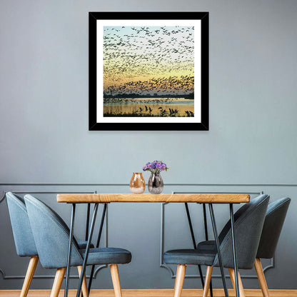 Snow Geese Flocks Wall Art