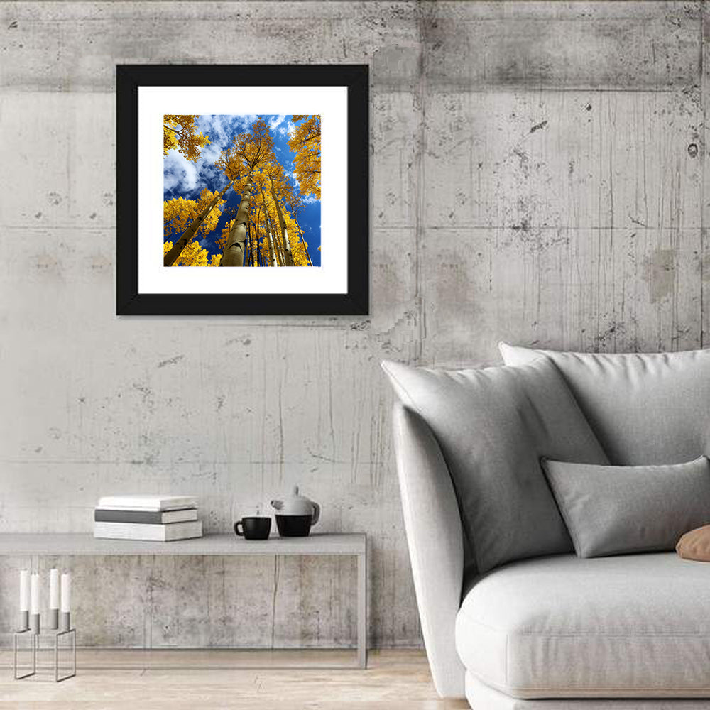 Golden Aspen Canopy View Wall Art in a room, square