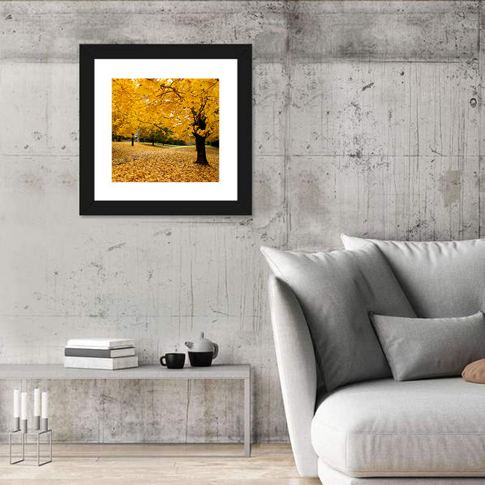 Baltimore Autumn Foliage Wall Art