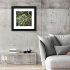 Serpentine Mountain Road Wall Art