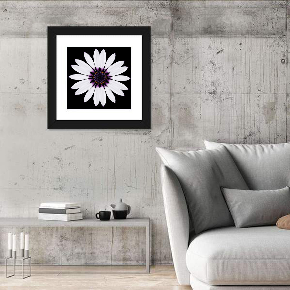 White Daisy Mandala on Black Wall Art in a room, square