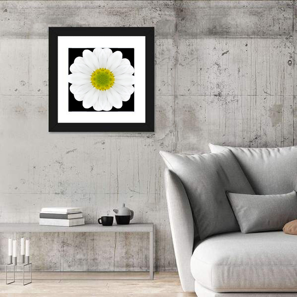 High Contrast Daisy Mandala Pattern Wall Art in a room, square