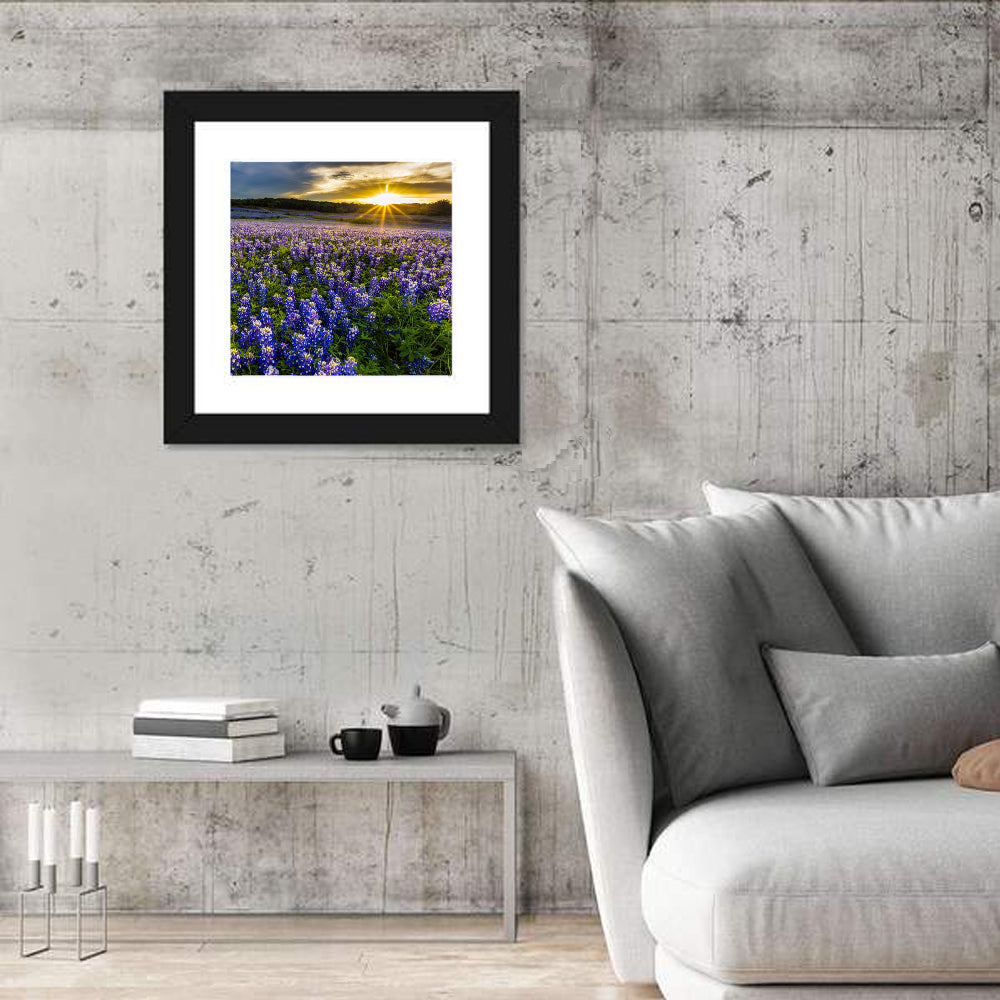 Texas Bluebonnet Field at Sunset Wall Art