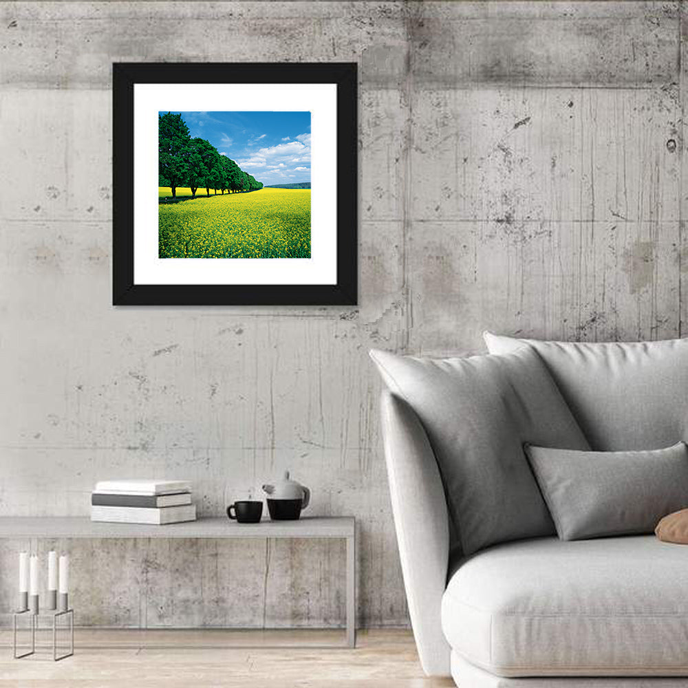 Spring Field of Yellow Flowers Wall Art in a room, square