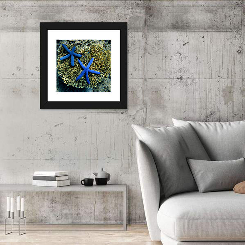 Blue Starfish Wall Art in a room, square