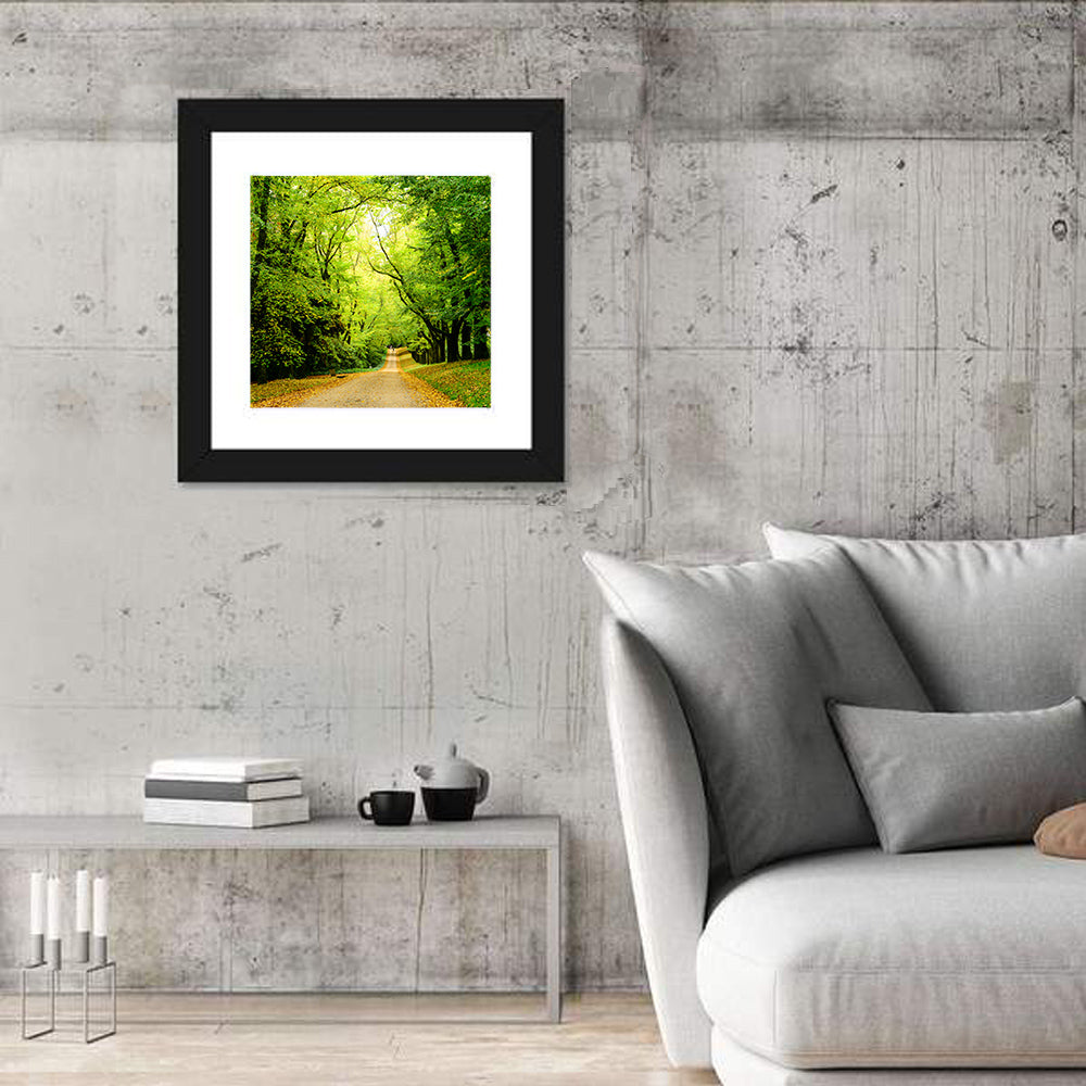 Sunlit Forest Pathway Wall Art