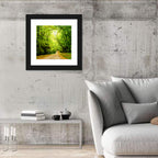 Sunlit Forest Pathway Wall Art