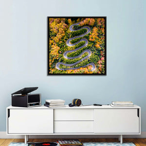 Winding Forest Road Wall Art