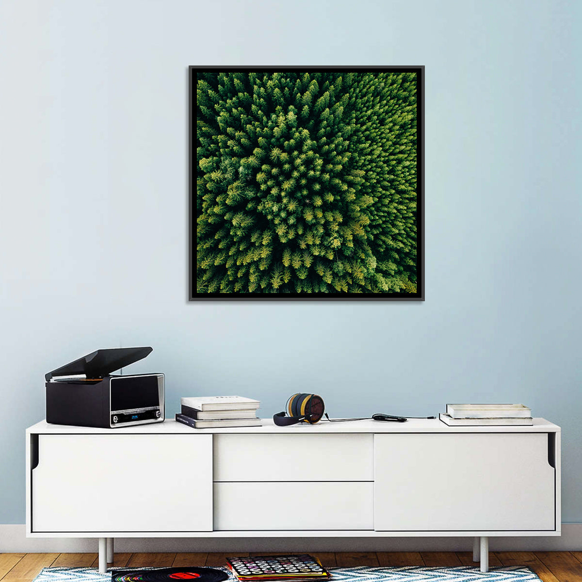 Aerial Conifer Canopy Wall Art in a room, square