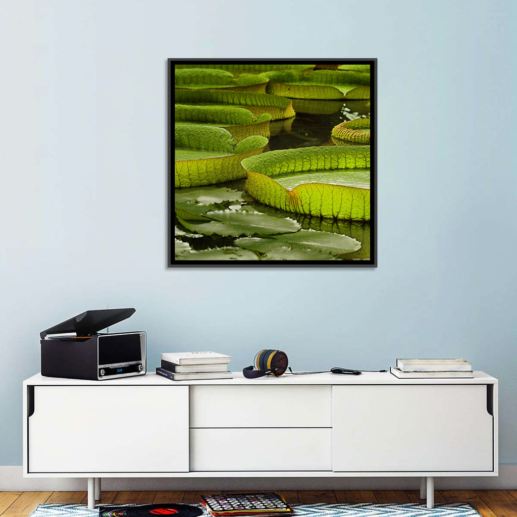 Giant Victoria Amazonica Lily Pads Wall Art