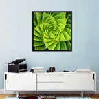 Spiral Aloe Succulent Wall Art