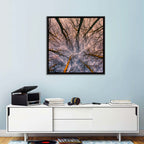 Misty Forest Canopy Wall Art