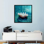 Giant Clam Shell Wall Art