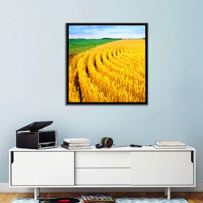 Wheat Field Wall Art