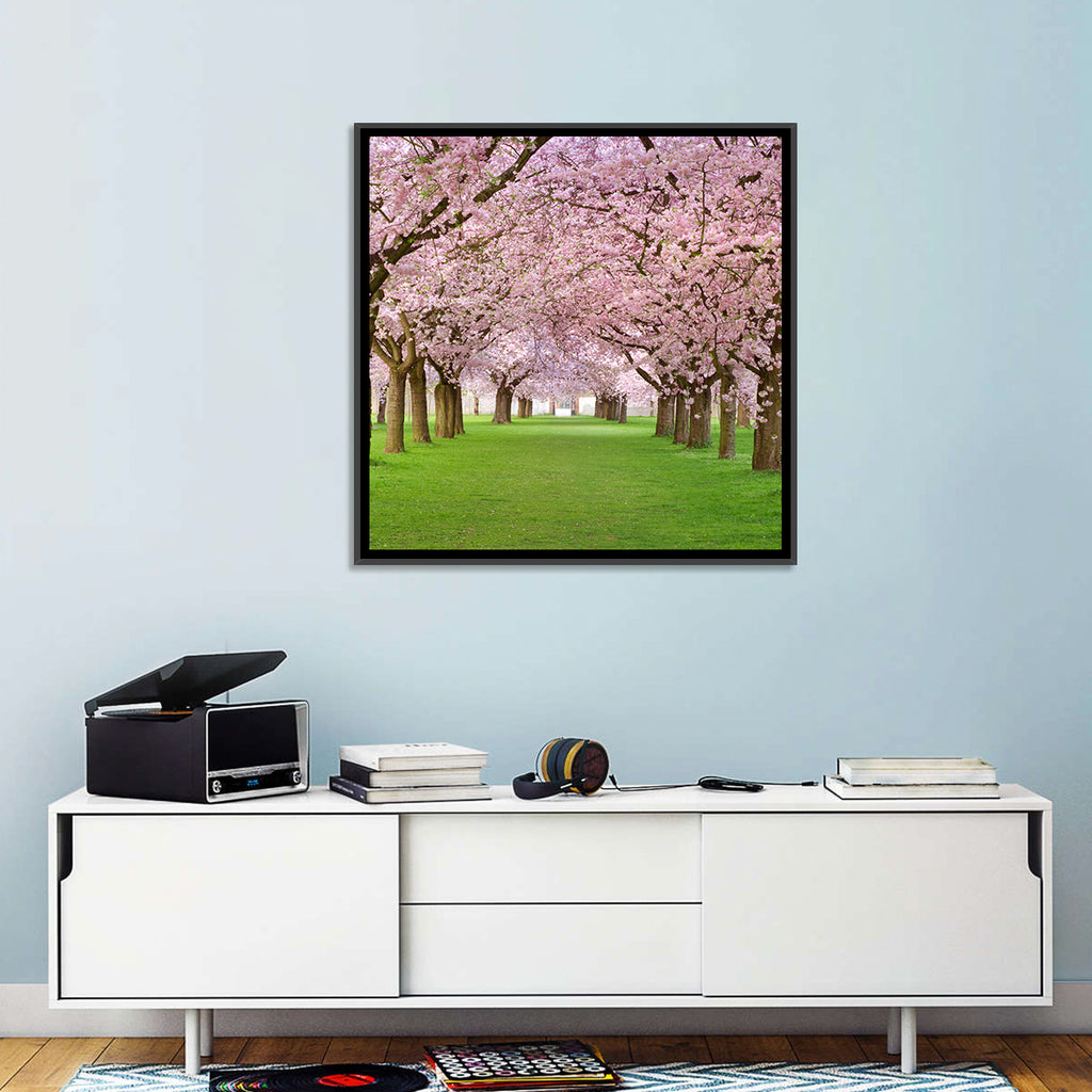 Cherry Blossom Avenue Wall Art