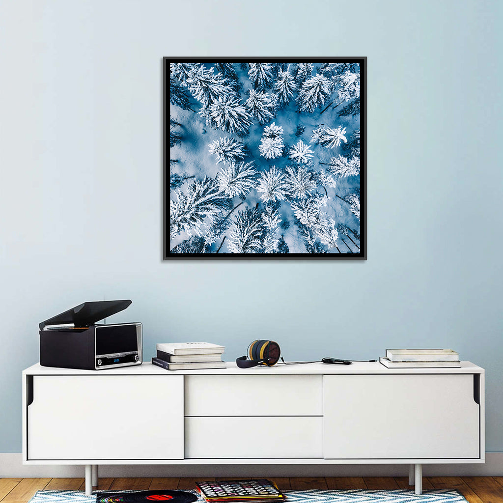 Aerial Snowy Evergreen Canopy Wall Art