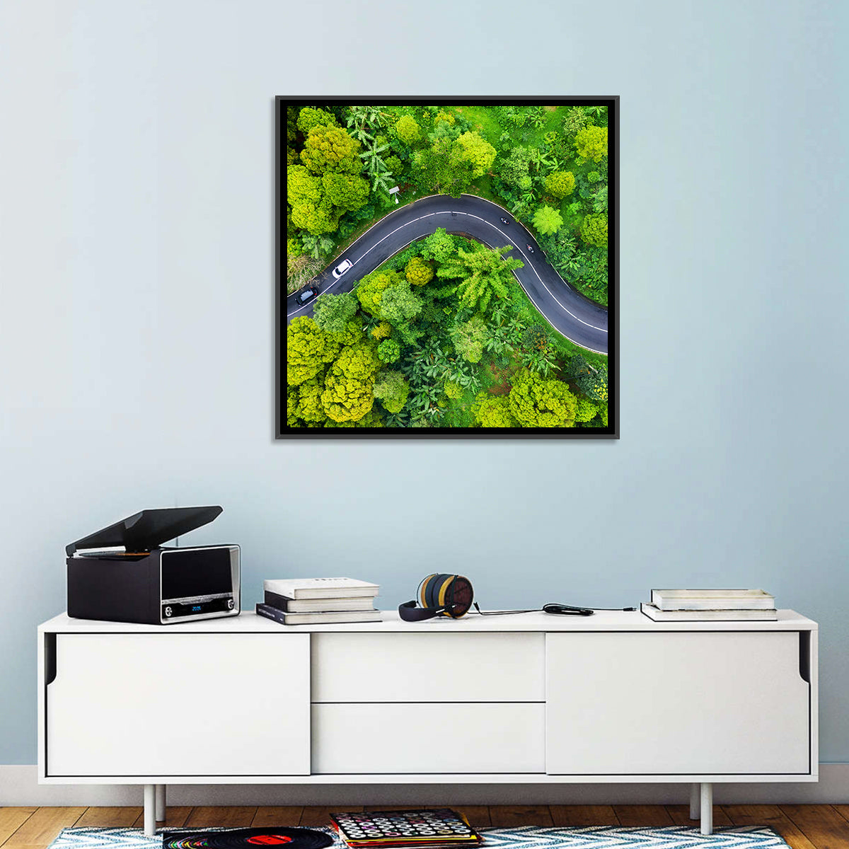 Summer Forest Road Aerial Wall Art