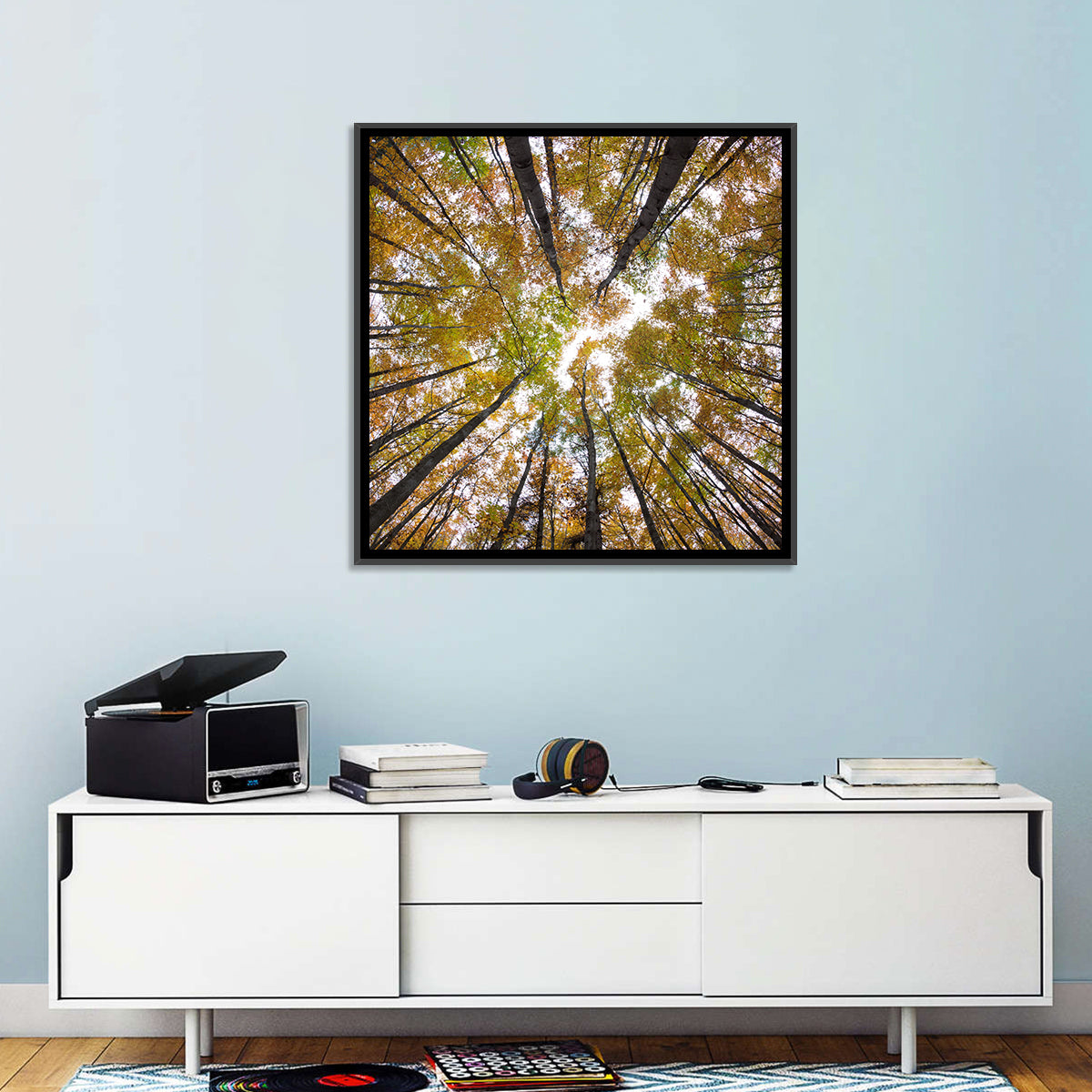 Autumn Forest Canopy Looking Up Wall Art in a room, square