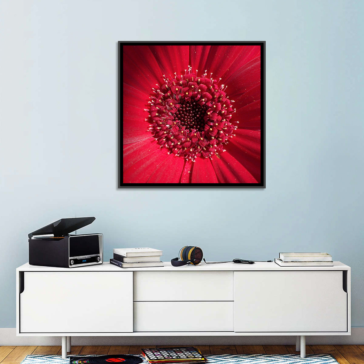 Red Gerbera Daisy Macro Close Up Wall Art in a room, square