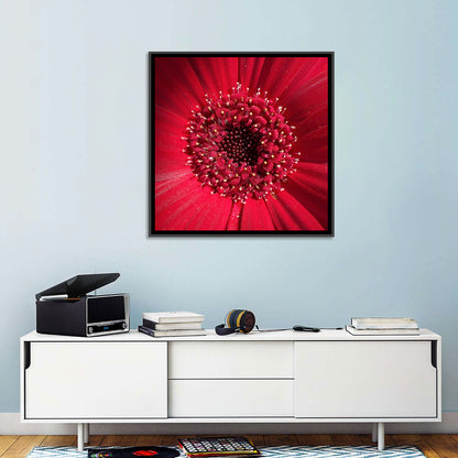 Gerbera Daisy Wall Art