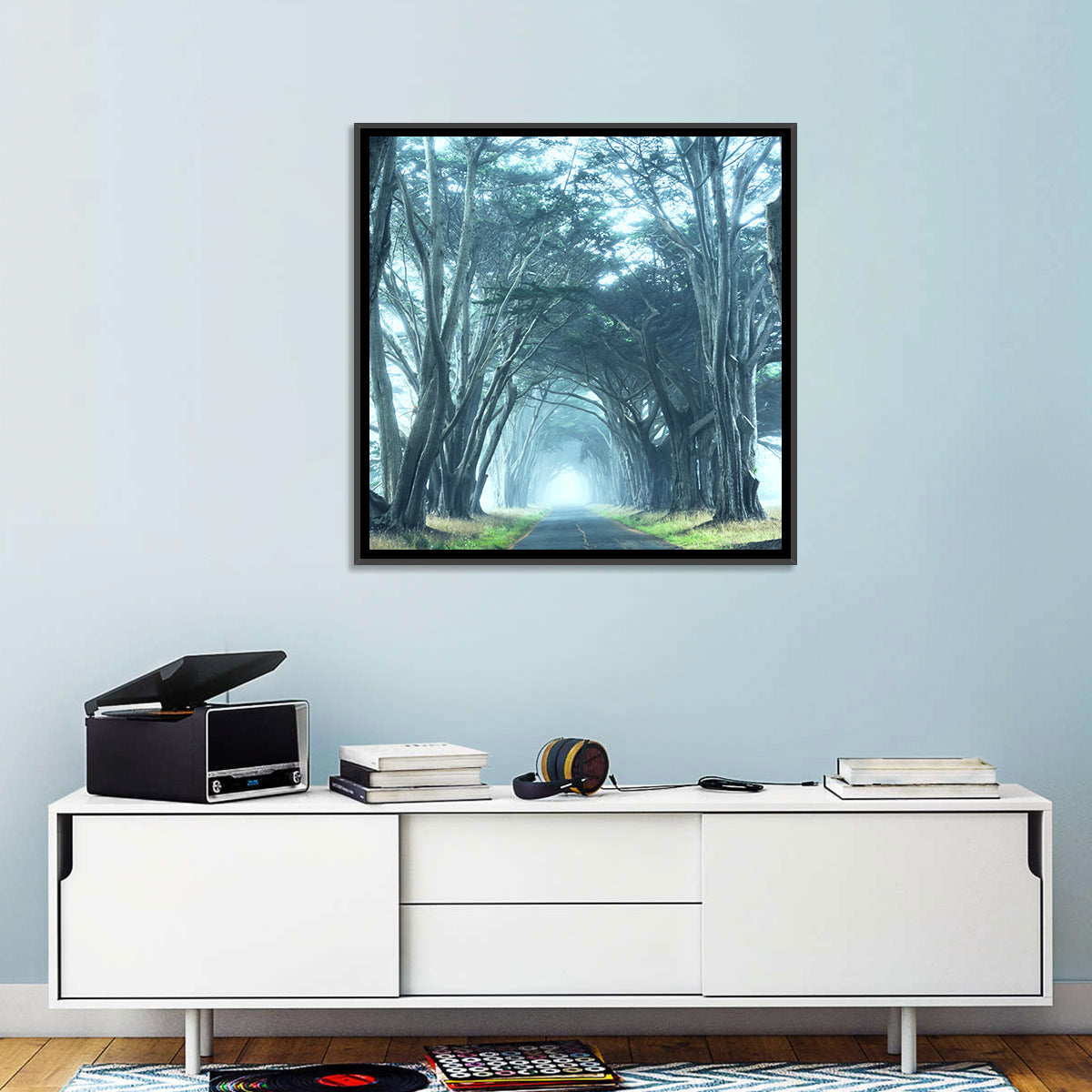 Foggy Cypress Tree Tunnel Wall Art in a room, square