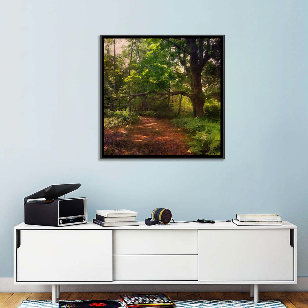 Sunlit Forest Trail Wall Art