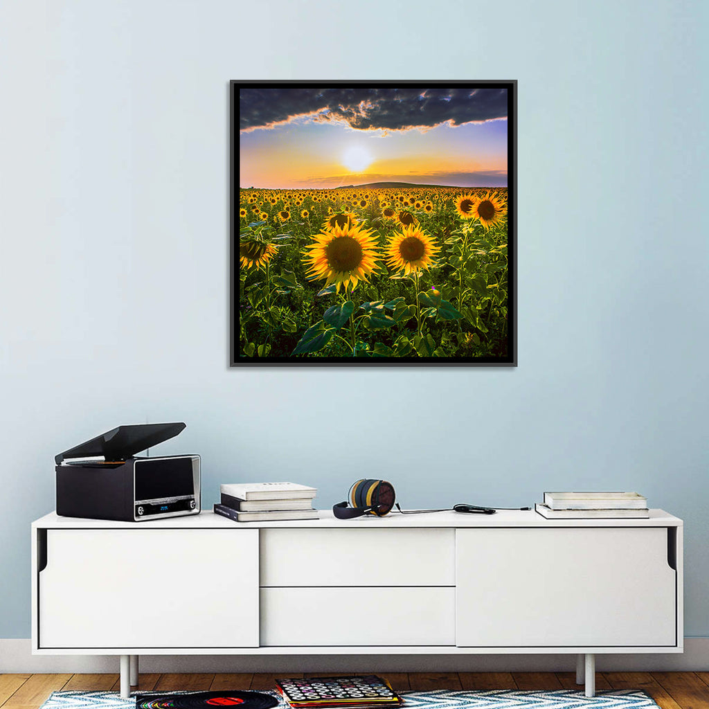 Sunflower Field at Golden Hour Wall Art