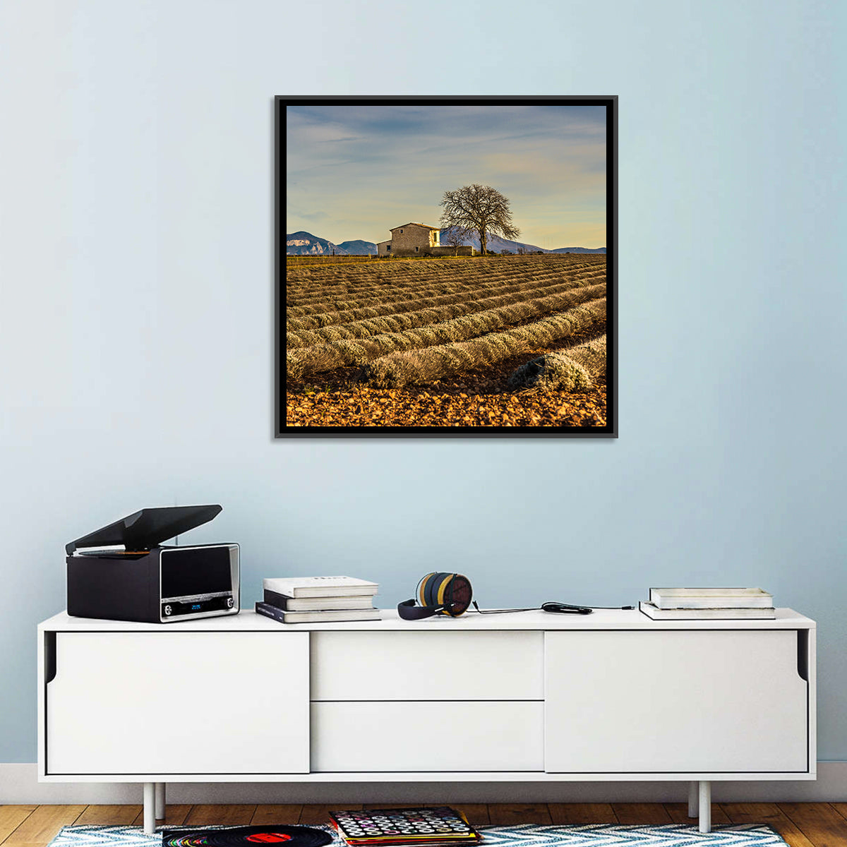 Rustic Provence Lavender Rows at Golden Hour Wall Art in a room, square