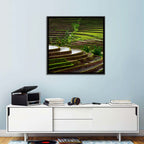 Lush Rice Terraces Wall Art