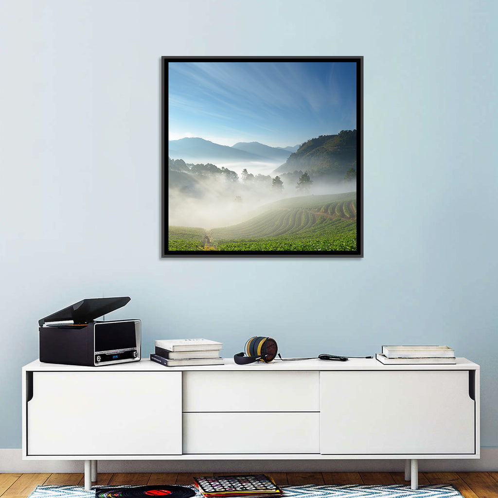 Sunlit Terraced Tea Hills Wall Art