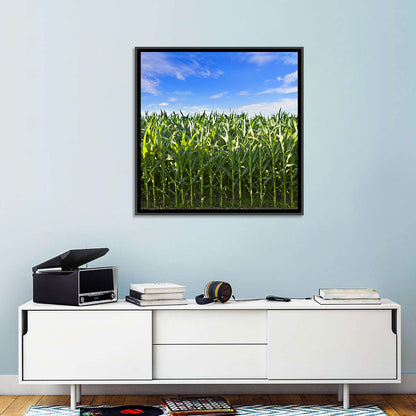 Green Corn Field Wall Art