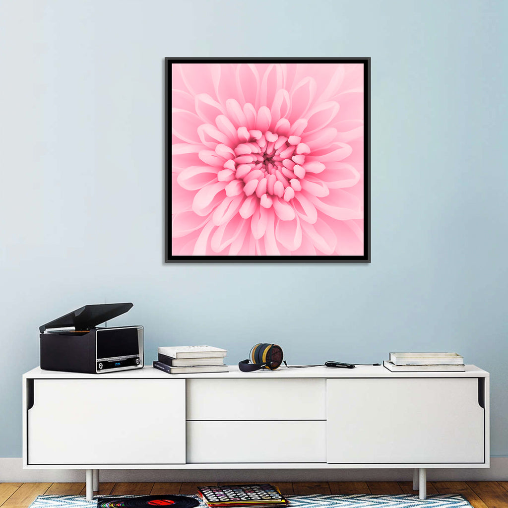 Pink Chrysanthemum Close-up Wall Art