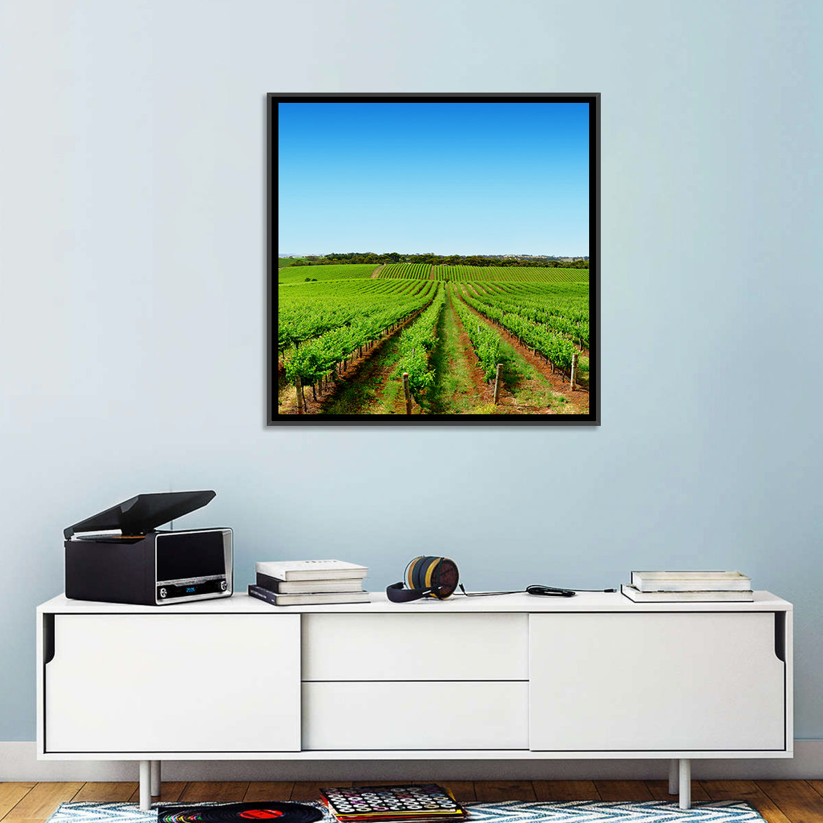 Sunlit Vineyard Rows Wall Art in a room, square