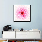 Pink Chrysanthemum Mandala with Deep Red Center Wall Art