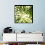 Spring Canopy in Morning Mist Wall Art