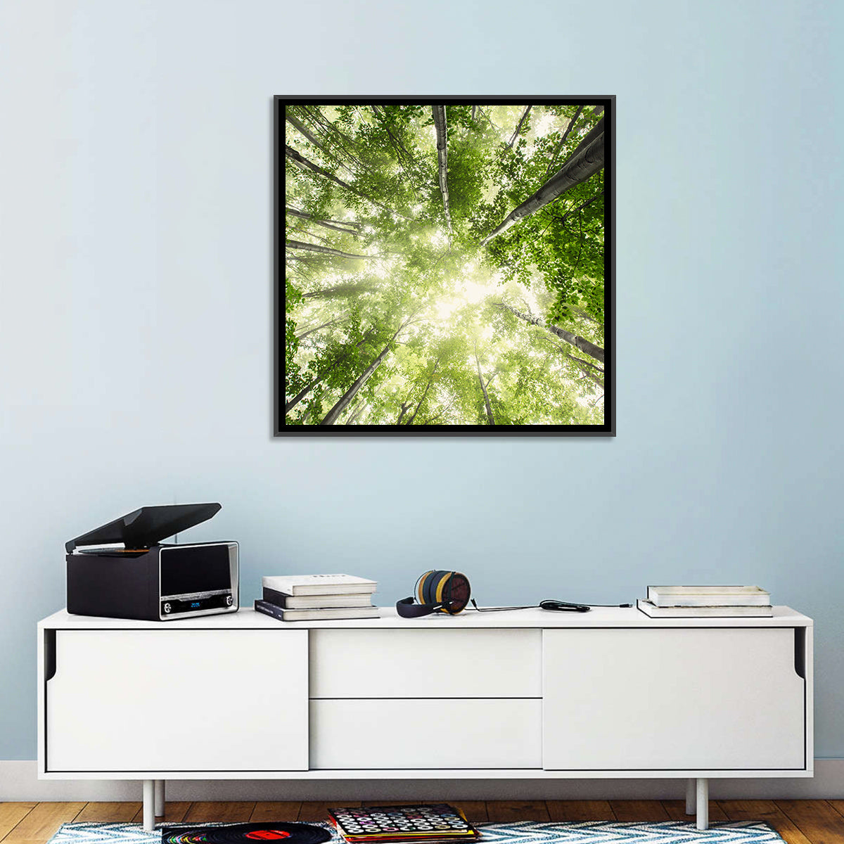 Spring Canopy in Morning Mist Wall Art