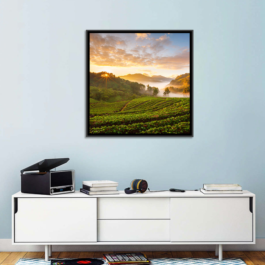 Strawberry Fields Sunrise Wall Art