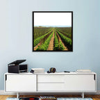 Tomato Fields Wall Art