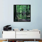 Congaree Swamp Reflection Wall Art