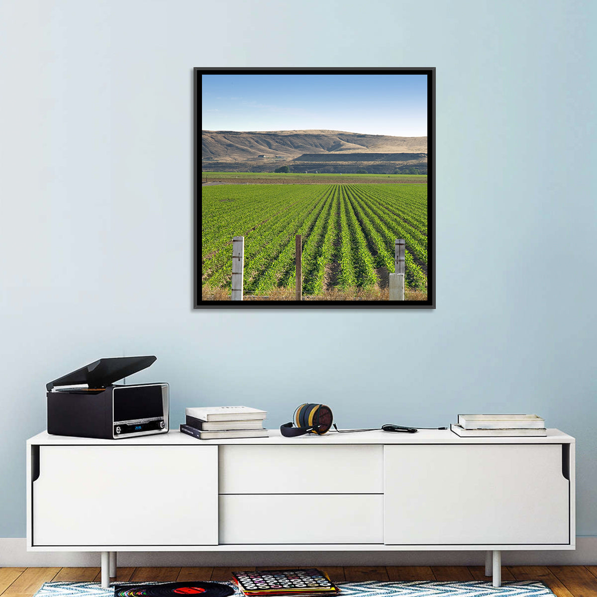 Idaho Corn Field Wall Art in a room, square