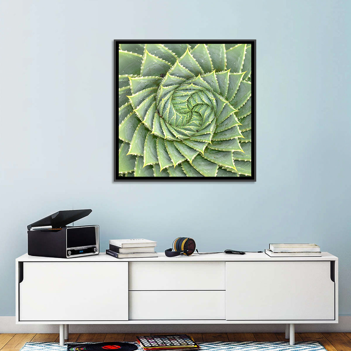Spiral Aloe Wall Art