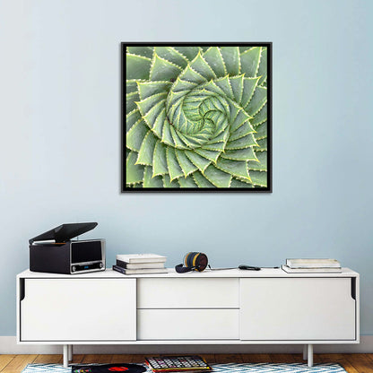 Spiral Aloe Wall Art