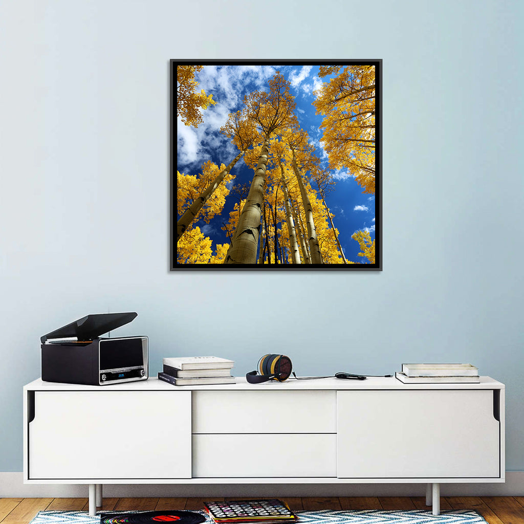 Golden Aspen Canopy View Wall Art