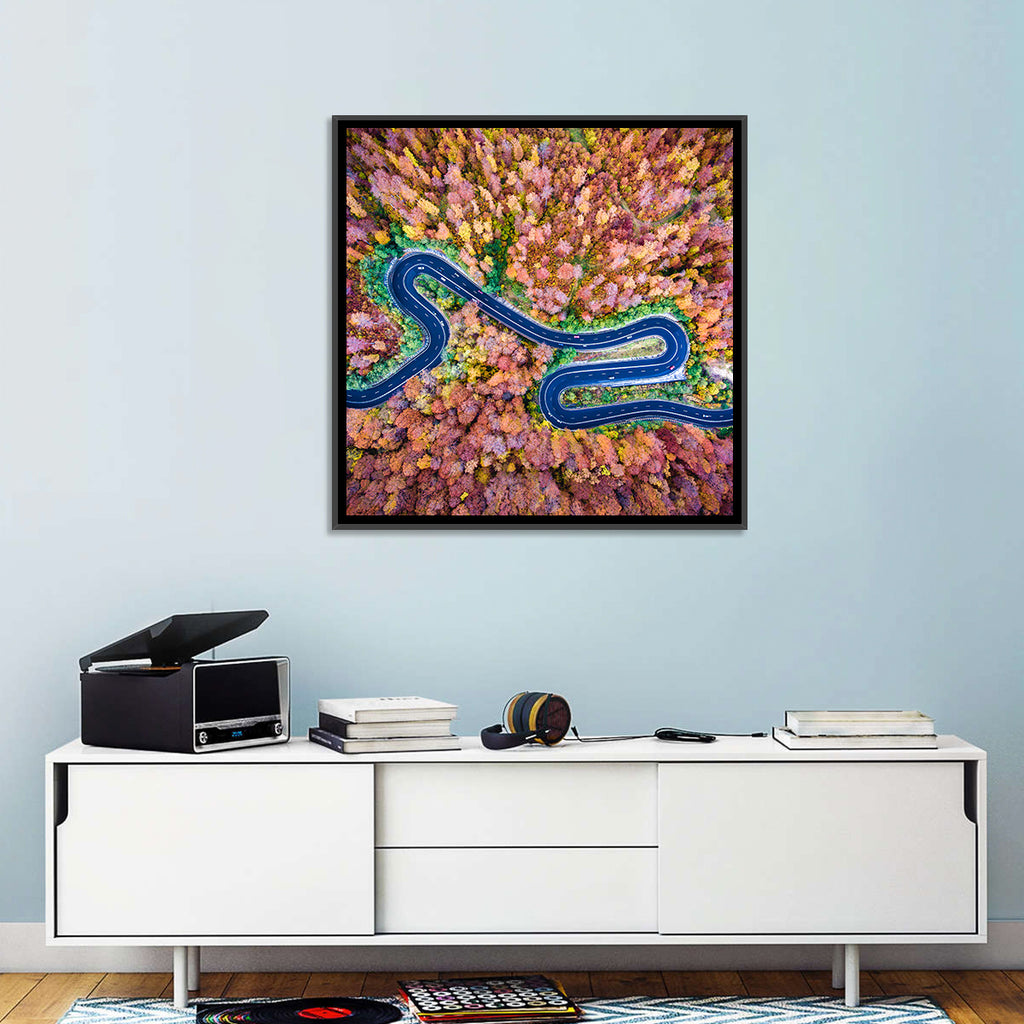 Aerial Winding Road Wall Art