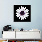 White Daisy Mandala on Black Wall Art