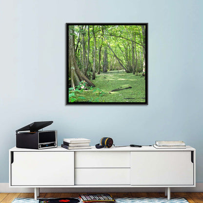 Louisiana Cypress Bayou Wall Art