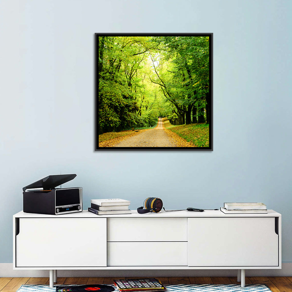 Sunlit Forest Pathway Wall Art