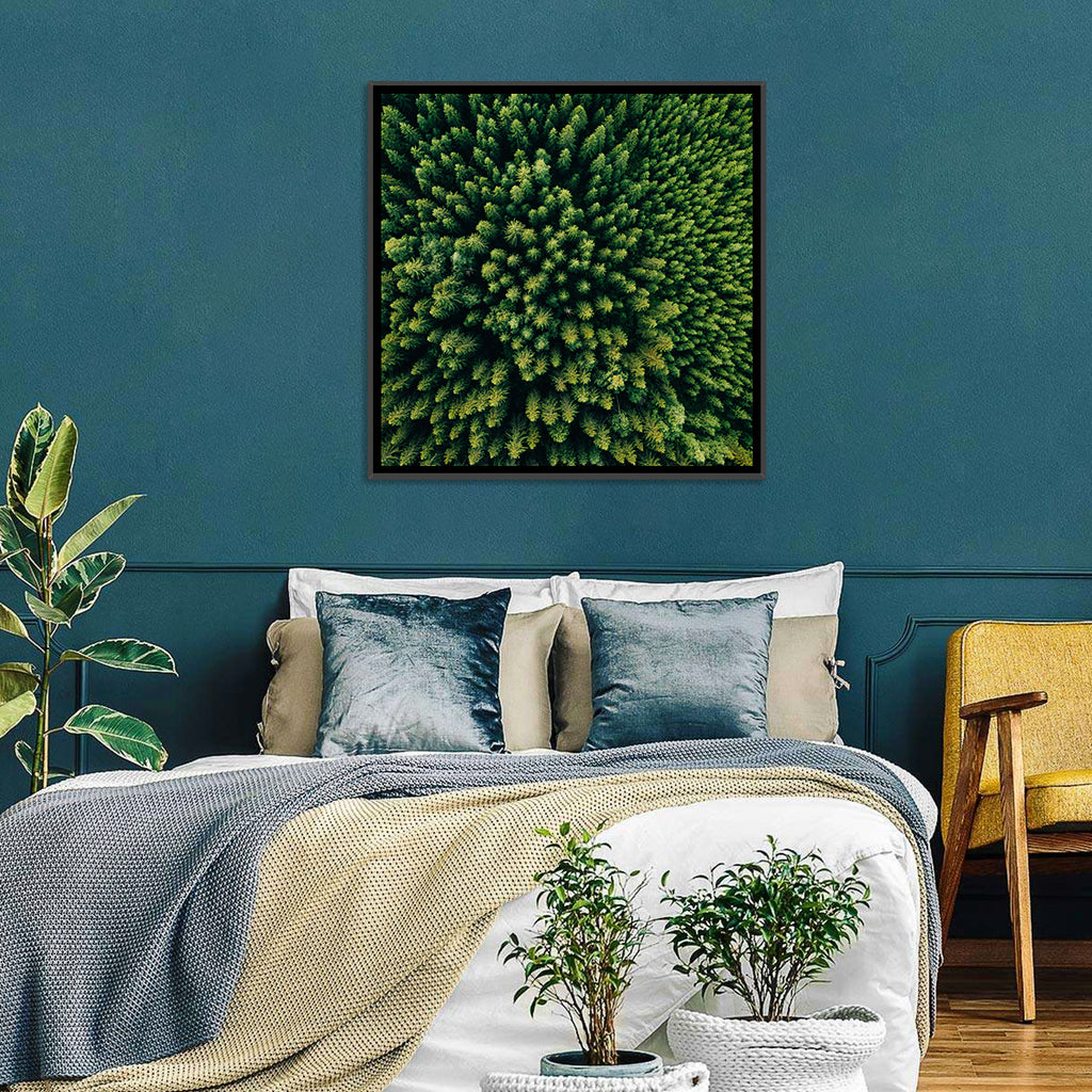 Aerial Conifer Canopy Wall Art